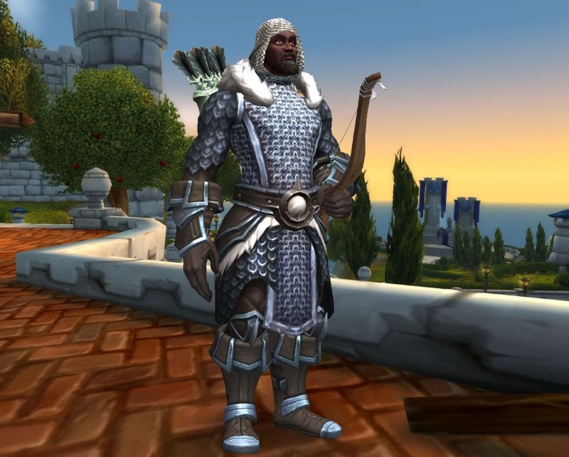 Darnell Chainmail Hunter 1.JPG