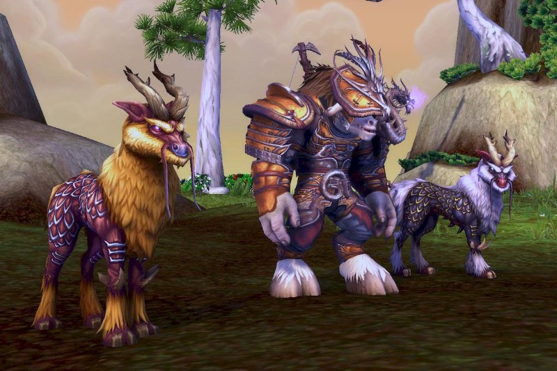 Windsteeds - Gold & White 2.jpg