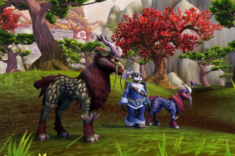 windsteed pets.jpg