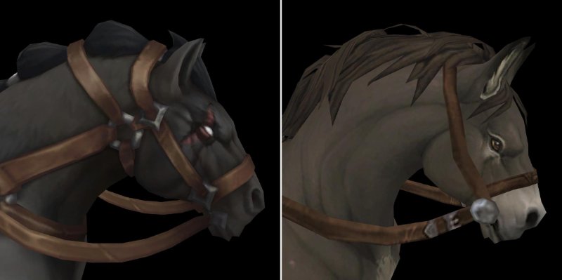Horse comp.jpg