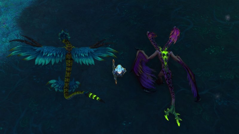 From Above.jpg