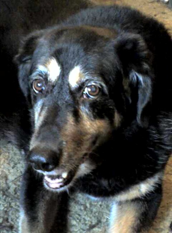 Rio at 18y