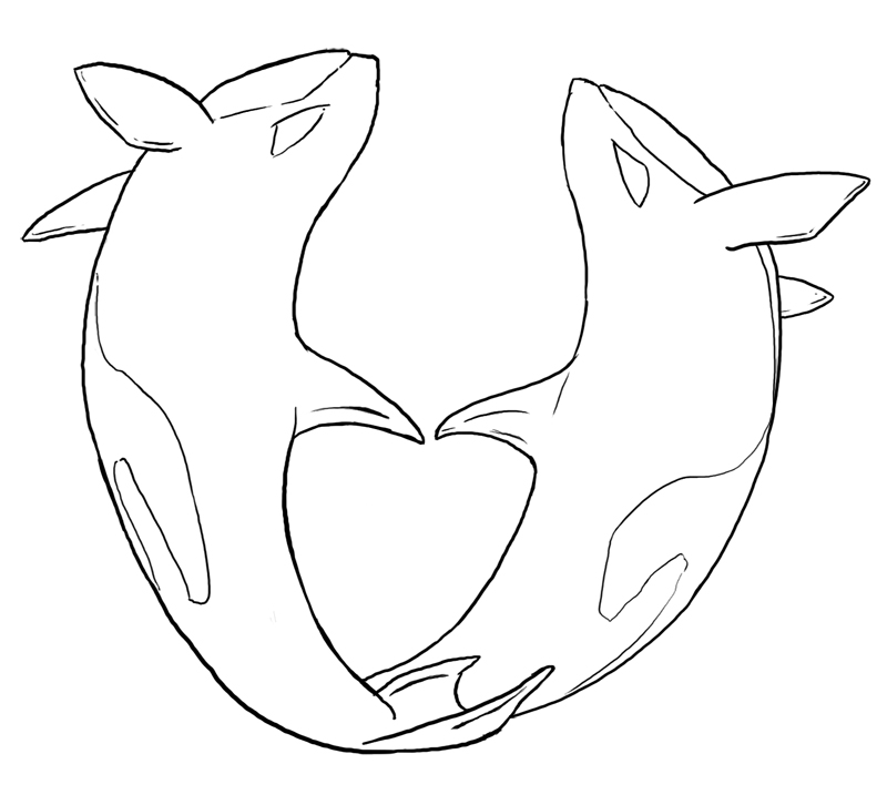 orca.jpg
