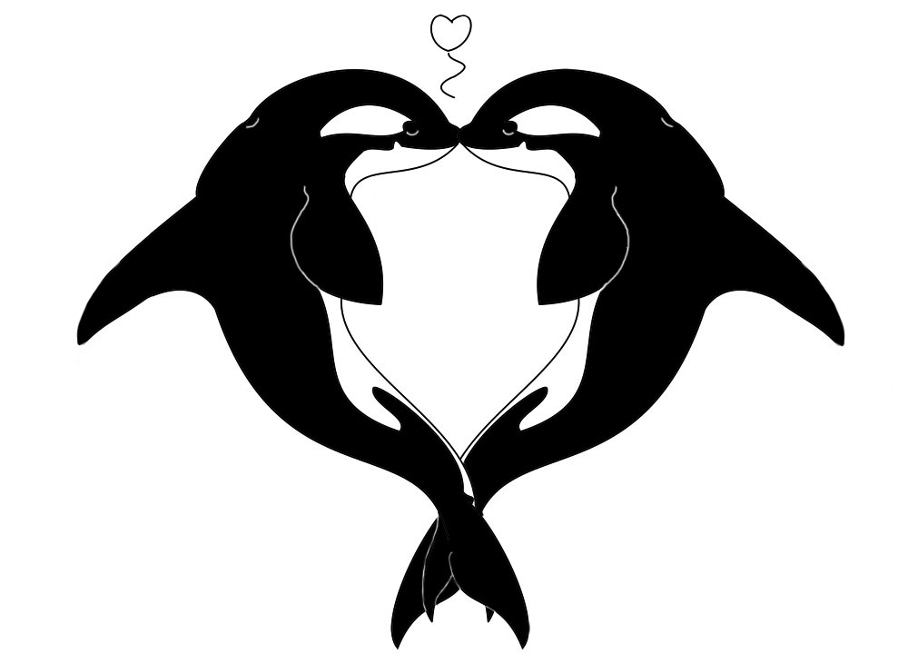 Orca Heart Solid.jpg