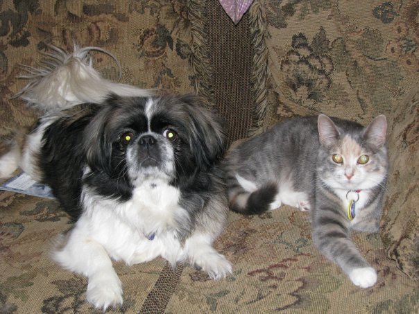 Truffles and Mia.jpg