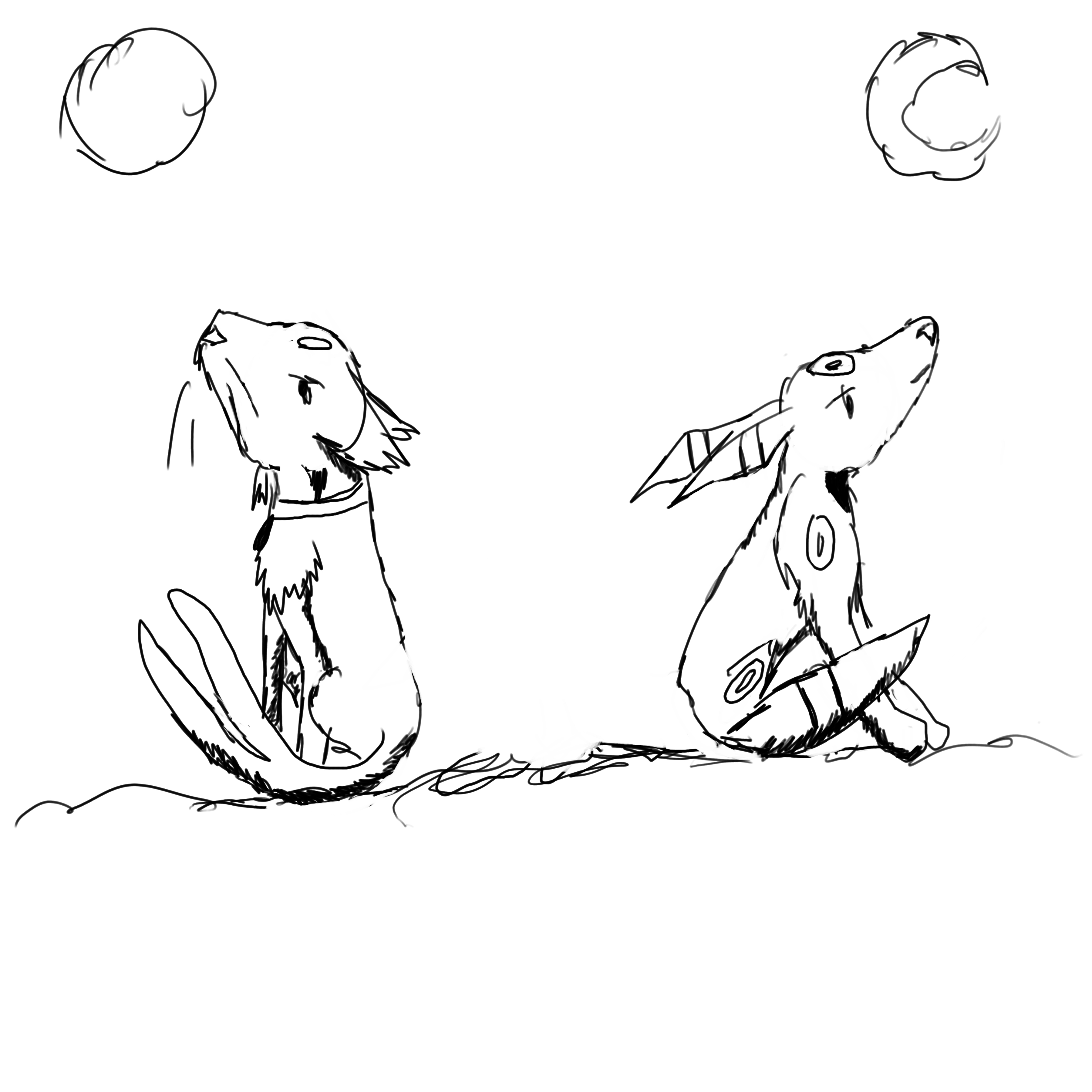 night and day.JPG
