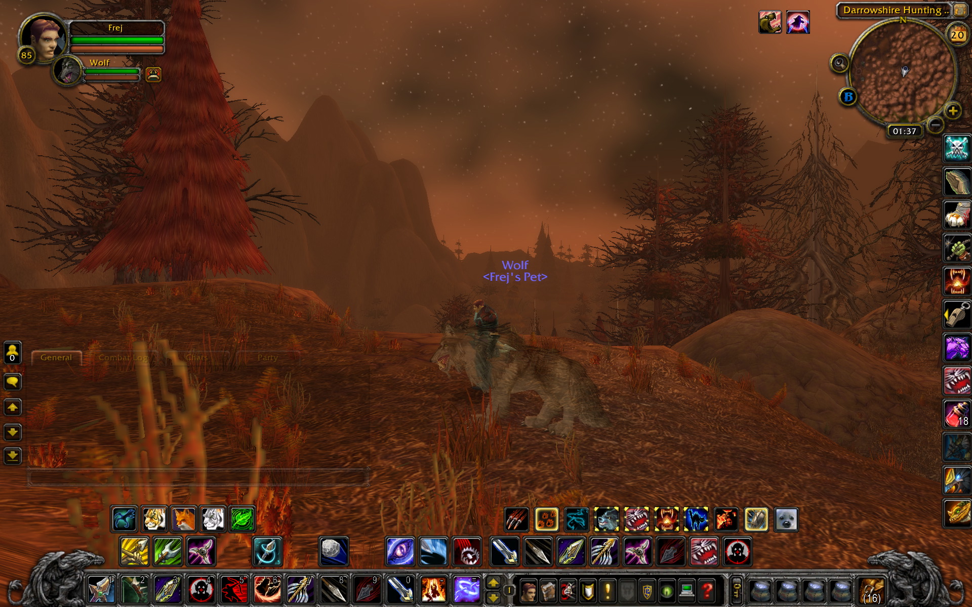 WoWScrnShot_102010_193732.jpeg