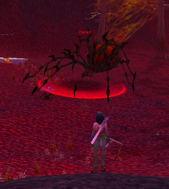 shrank.jpg