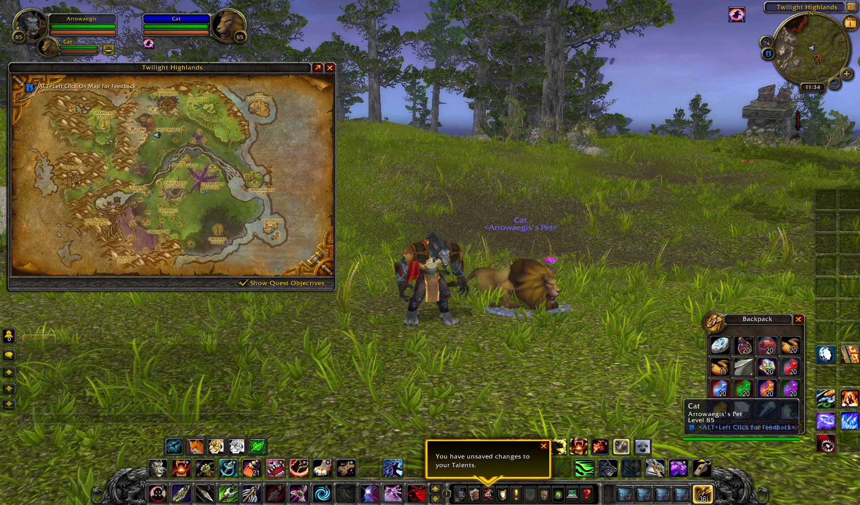 WoWScrnShot_110110_143424.jpg