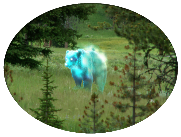 ArcturisPhoto.png
