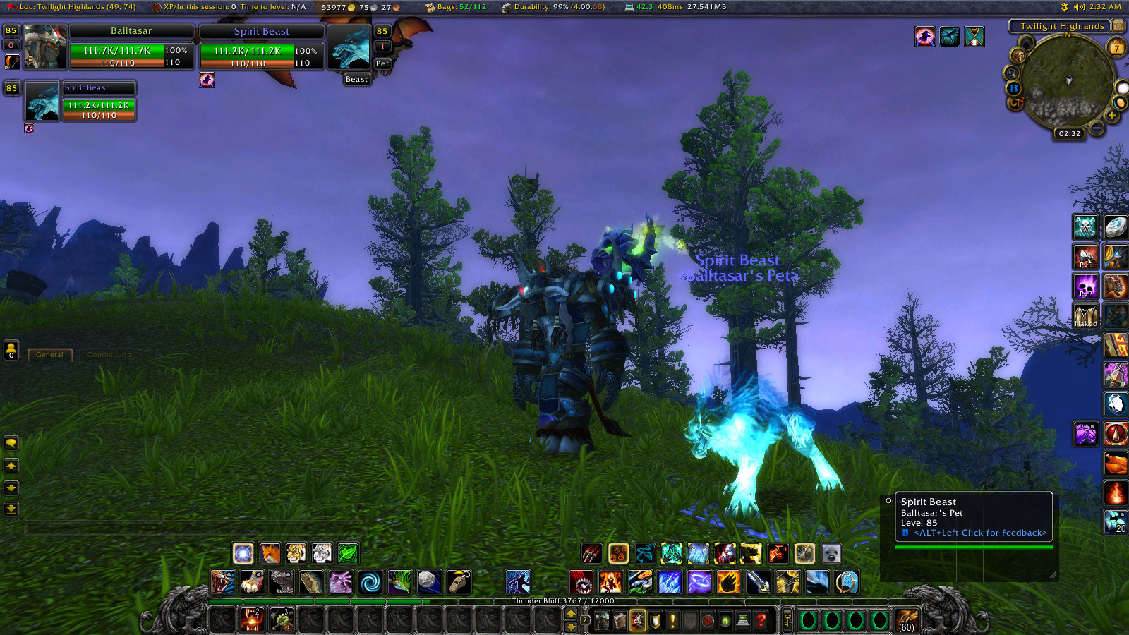 Spirit Beast it self.