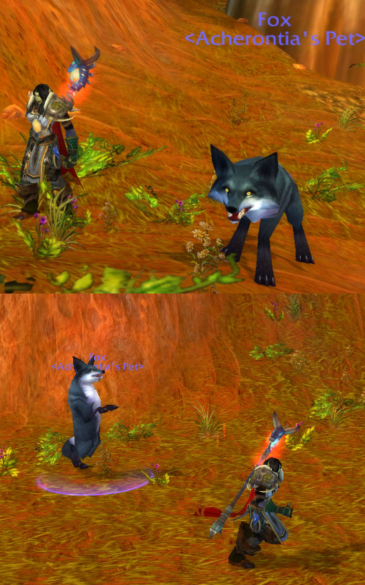 Fox.png