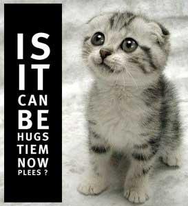 pleaseeeeee ???