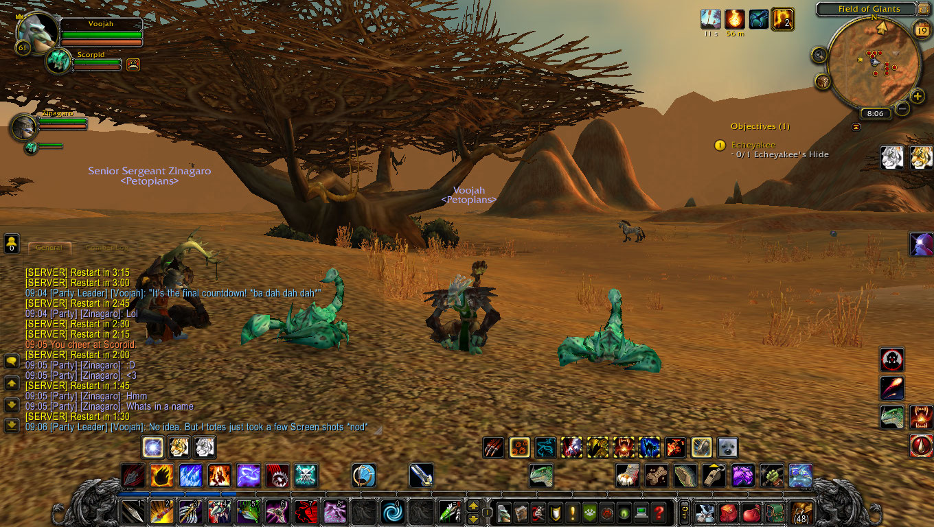 Just to show how last minute we really decided to go tame those lil' buggers.