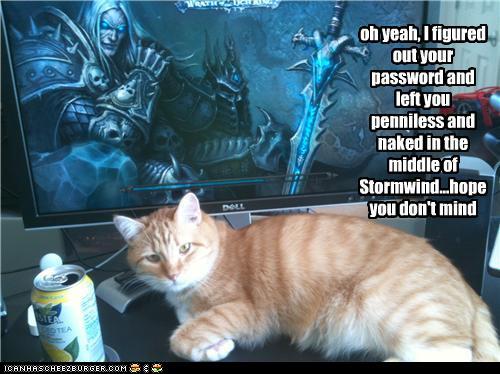 Damn hacker lolcats