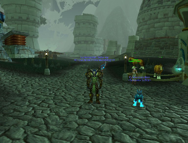 Mage Hunter...I named him to taunt my gnome mage friends.