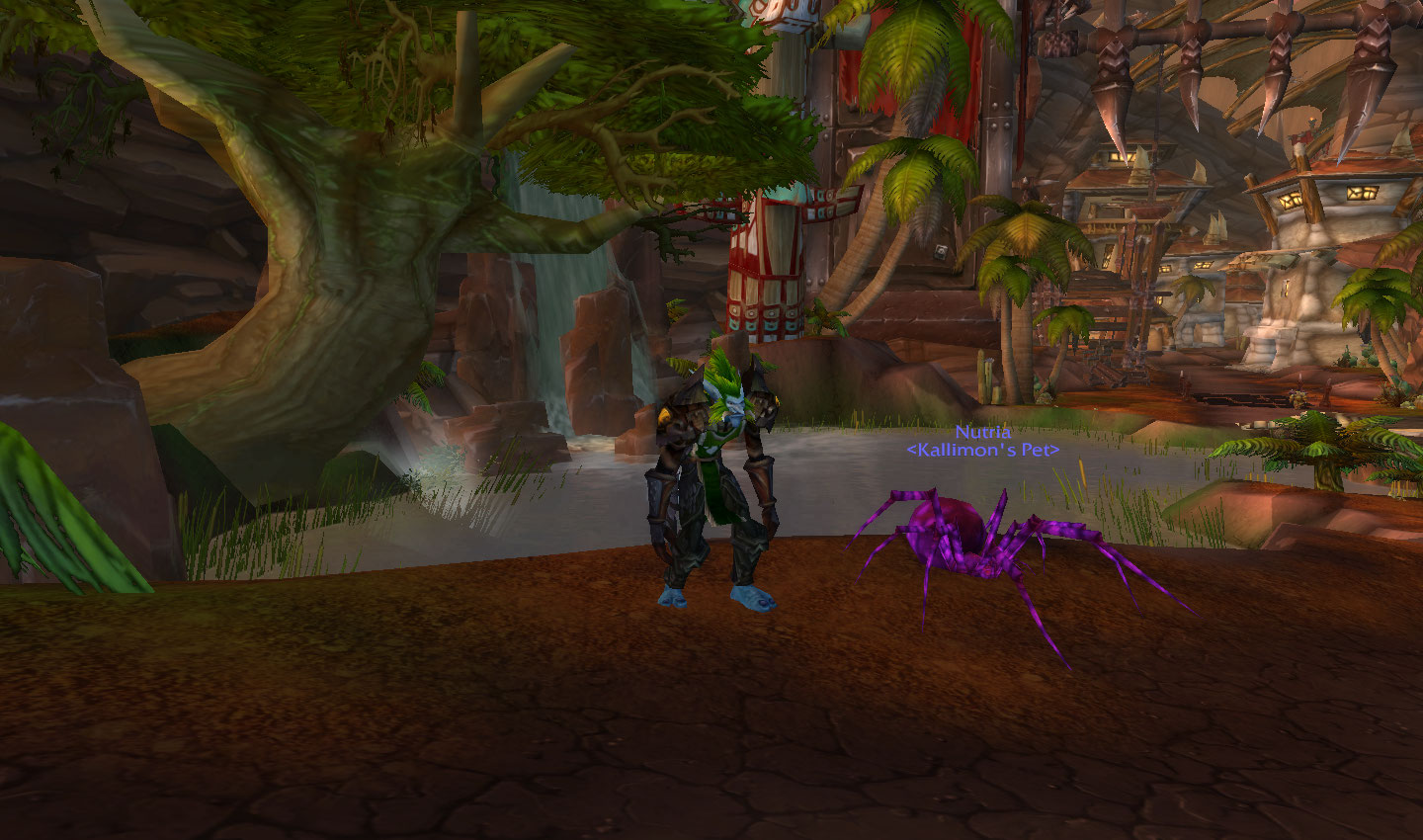 Nutria the purple spider