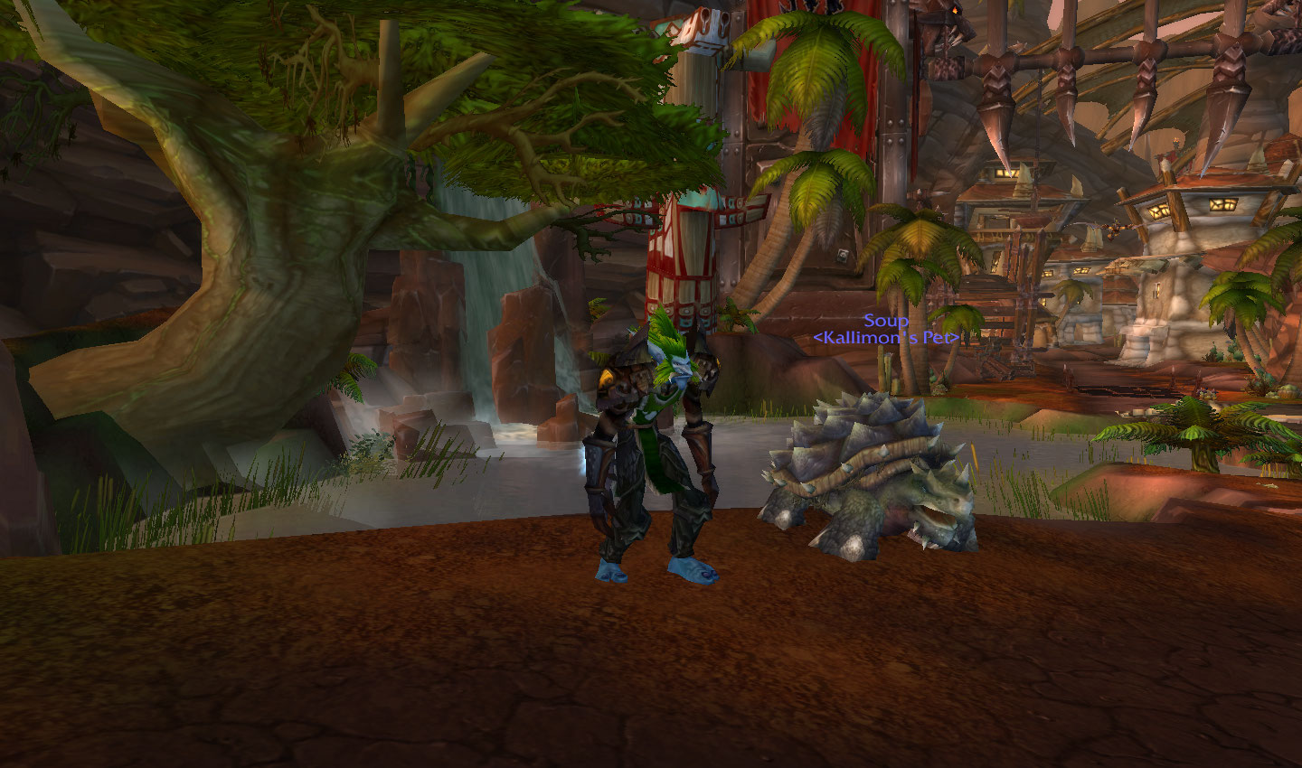 Soup the previously tamed ancient turtle