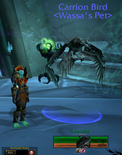 Yus I died taming this guy.