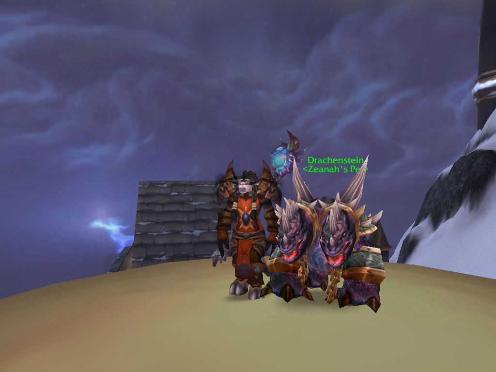 WoWScrnShot_112610_135342.jpg