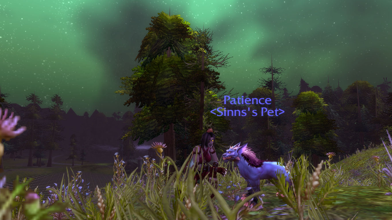 Sinns and Patience