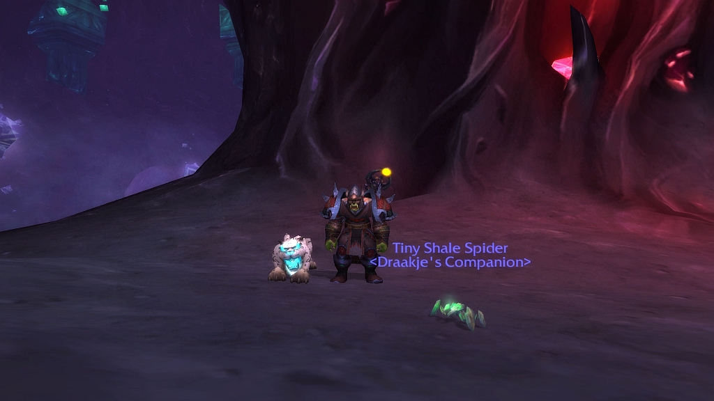 shale spider.jpg