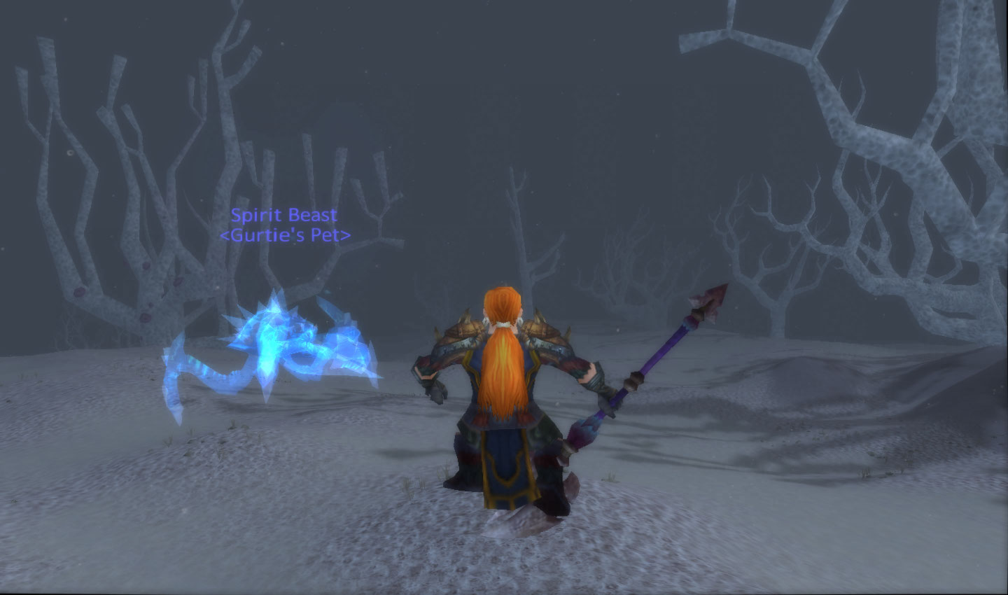 WoWScrnShot_121310_163453.jpg
