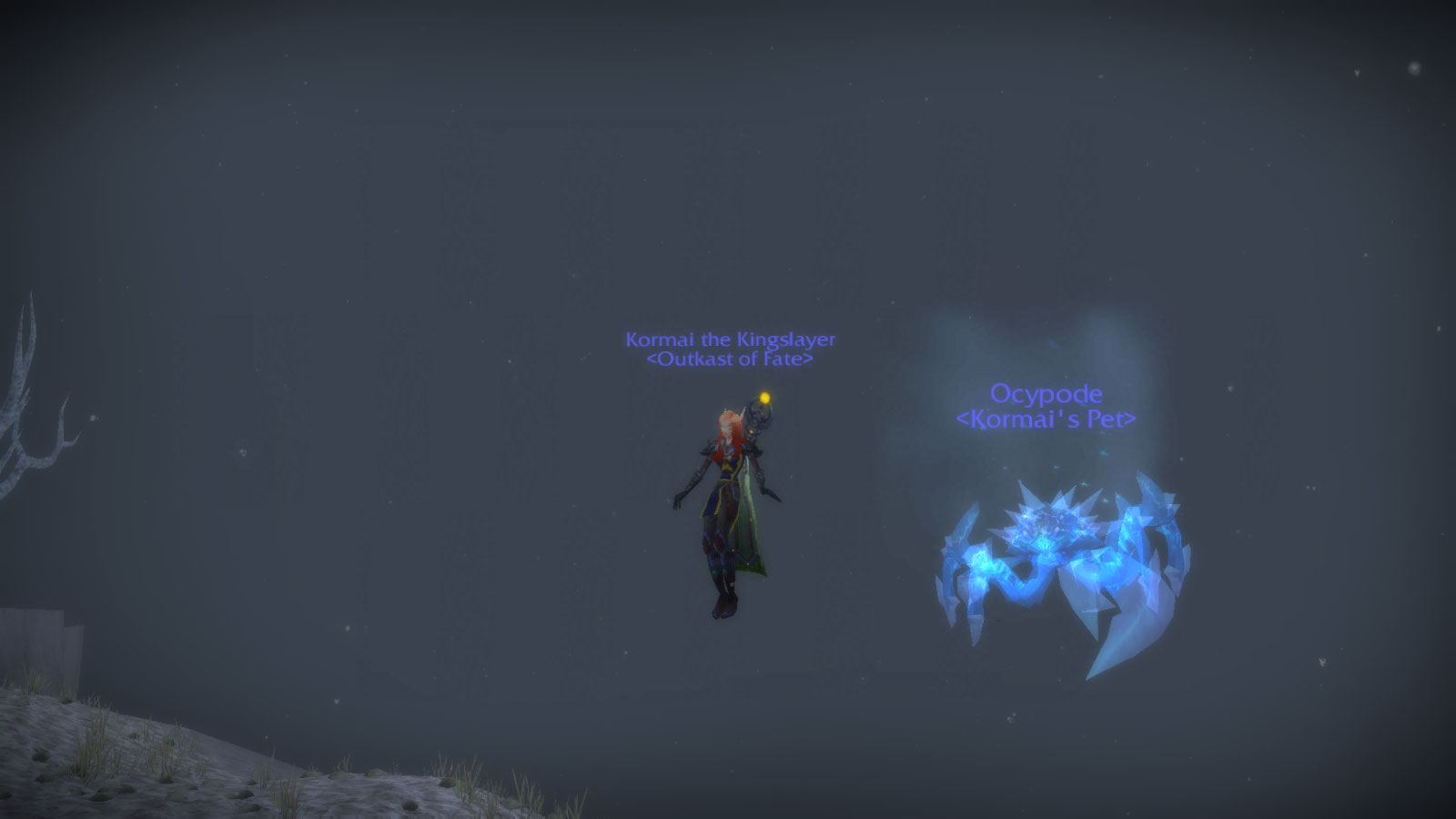 With solid background of water so you can really see him...so awesome!