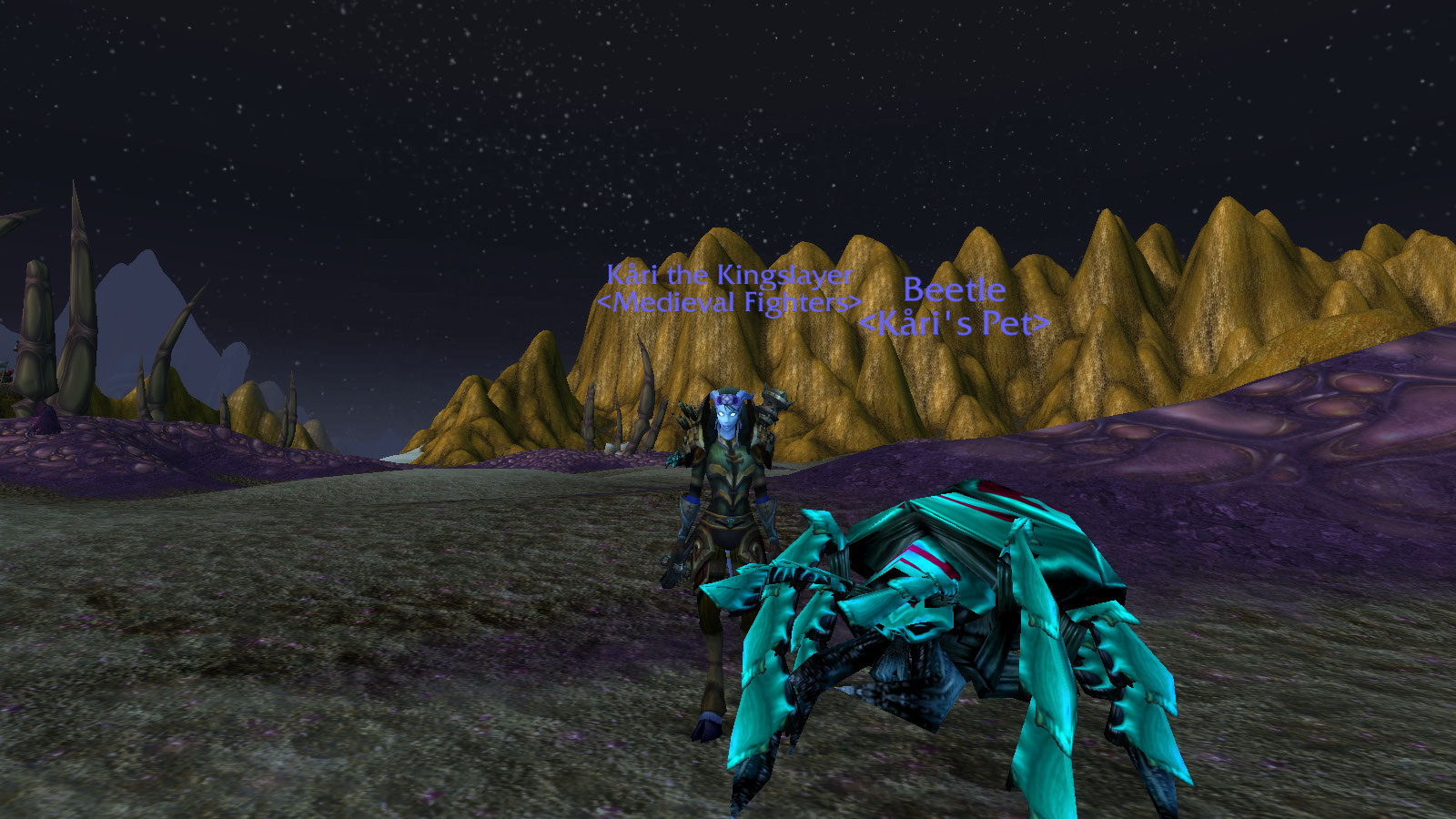 Tamed beetle.