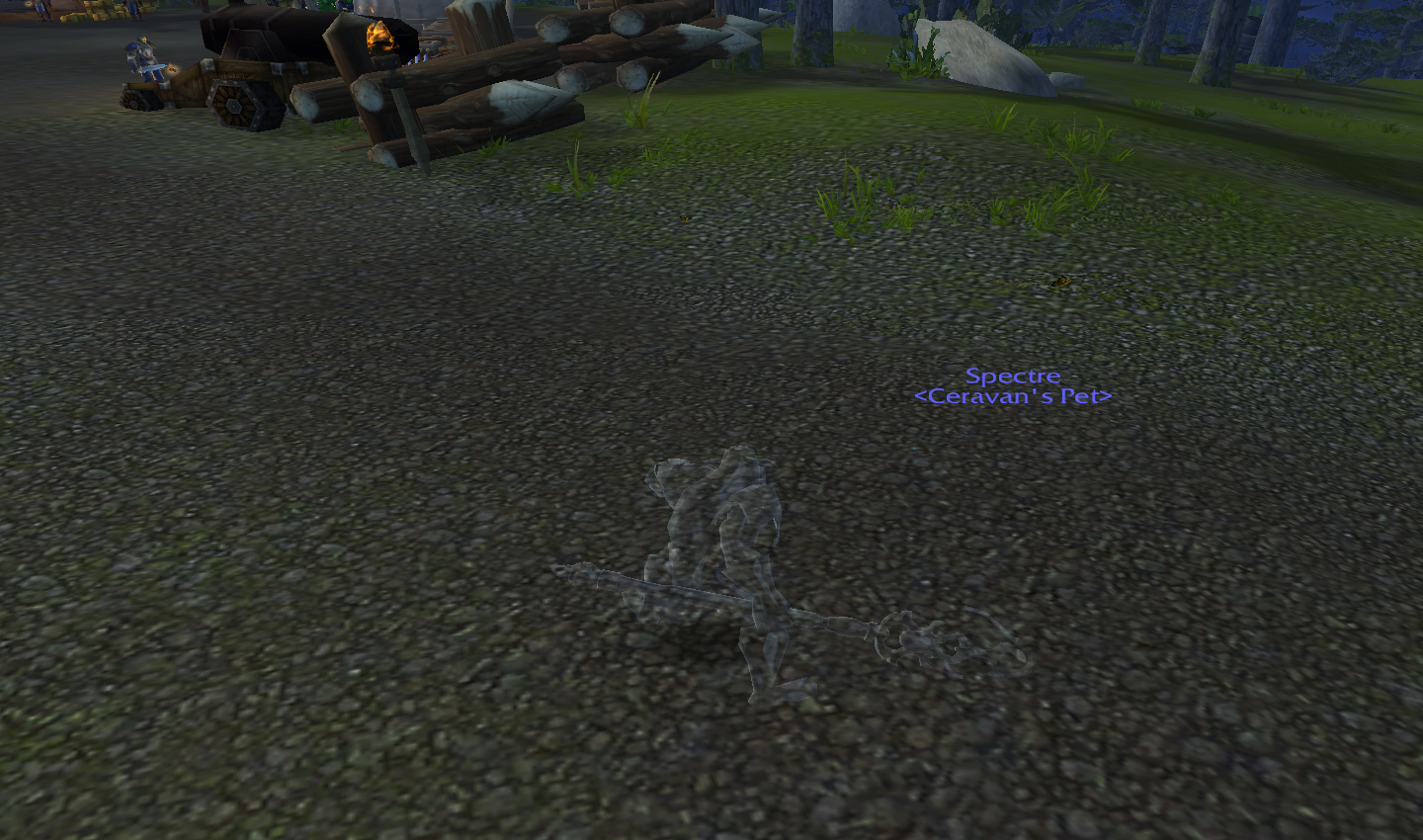 The invisible pet.