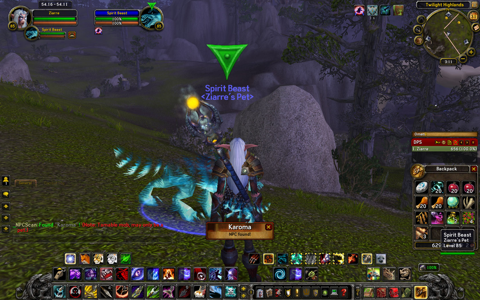 WoWScrnShot_123110_051134.jpg