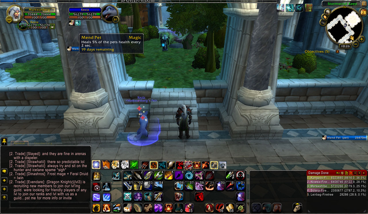 mend pet bug.jpg