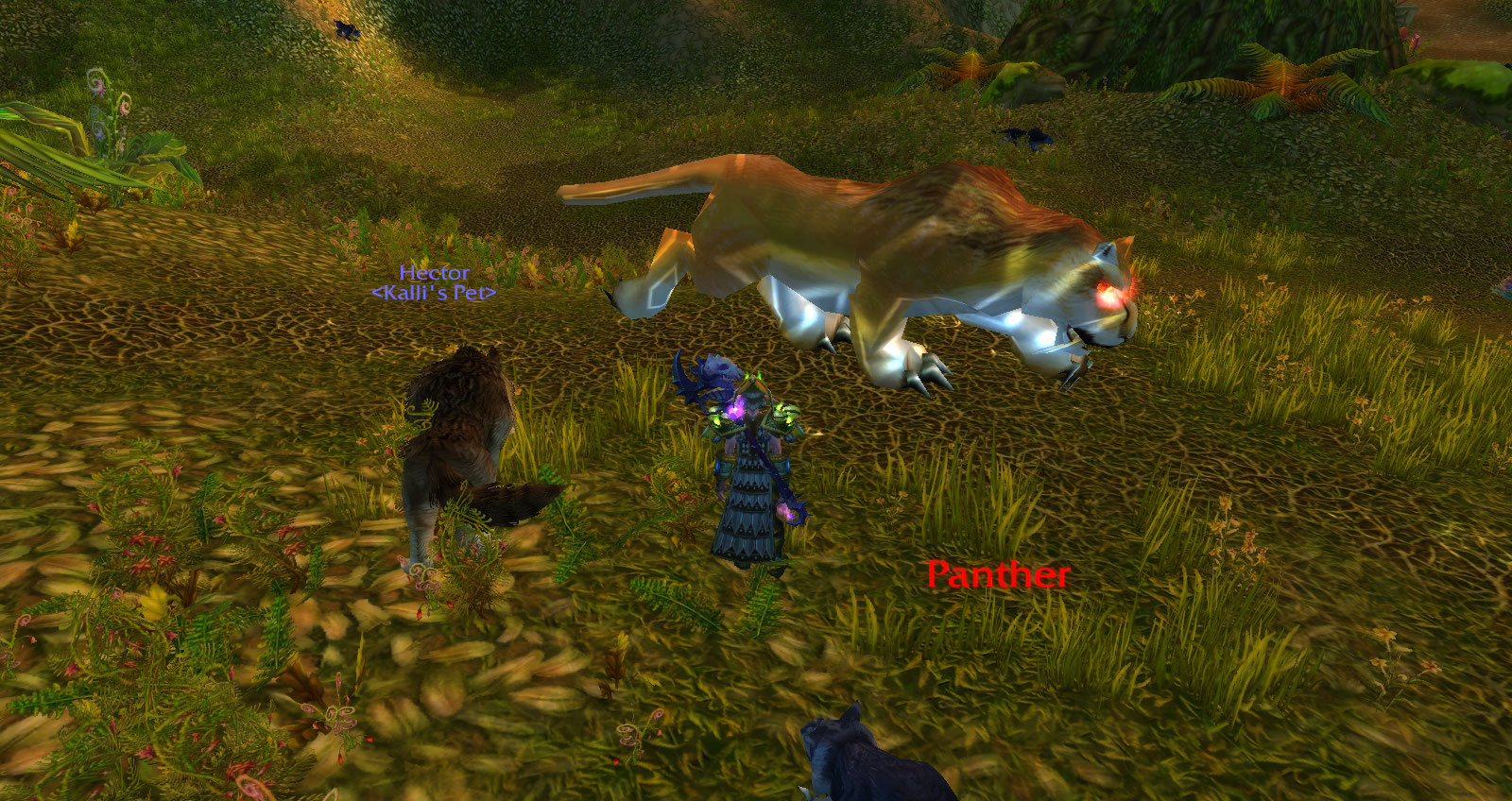 WoWScrnShot_010911_133147.jpg