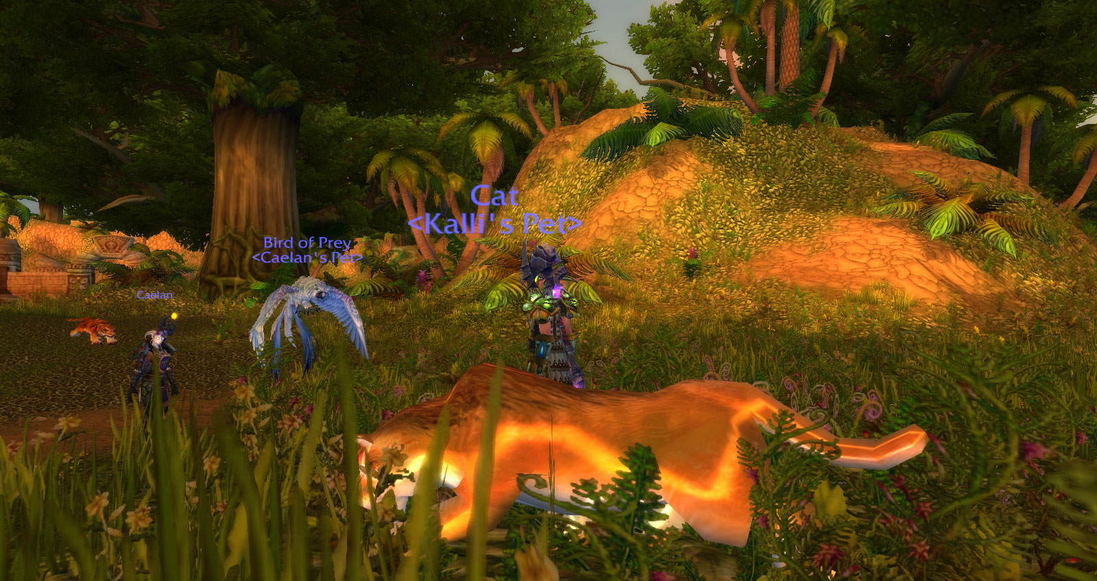 WoWScrnShot_010911_161153.jpg