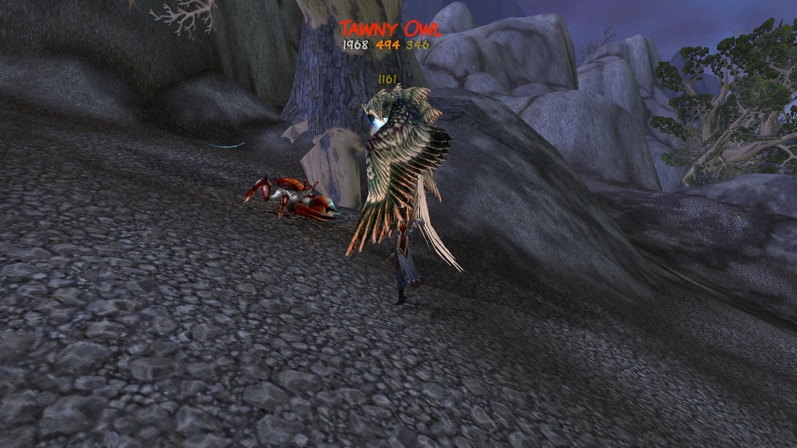 Killin a bird