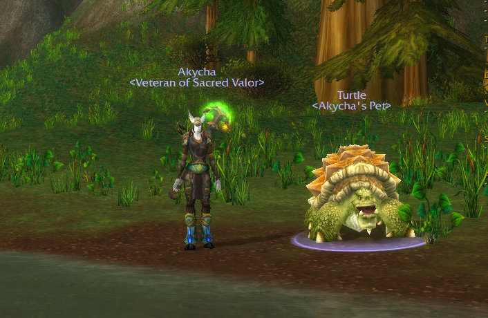 110122_Turtle&Akycha.jpg