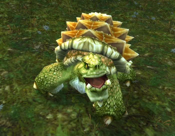 110124_Turtle_Idle.jpg