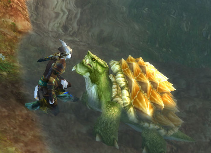 110124_Turtle_bye.jpg