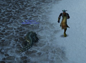 Waddle1.jpg