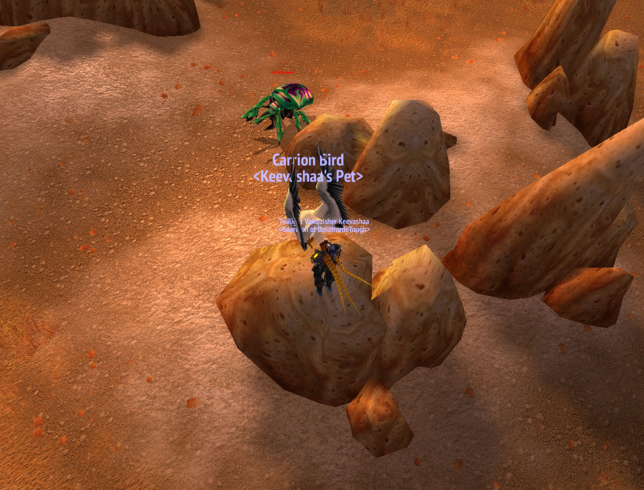 WoWScrnShot_020811_153833.jpg