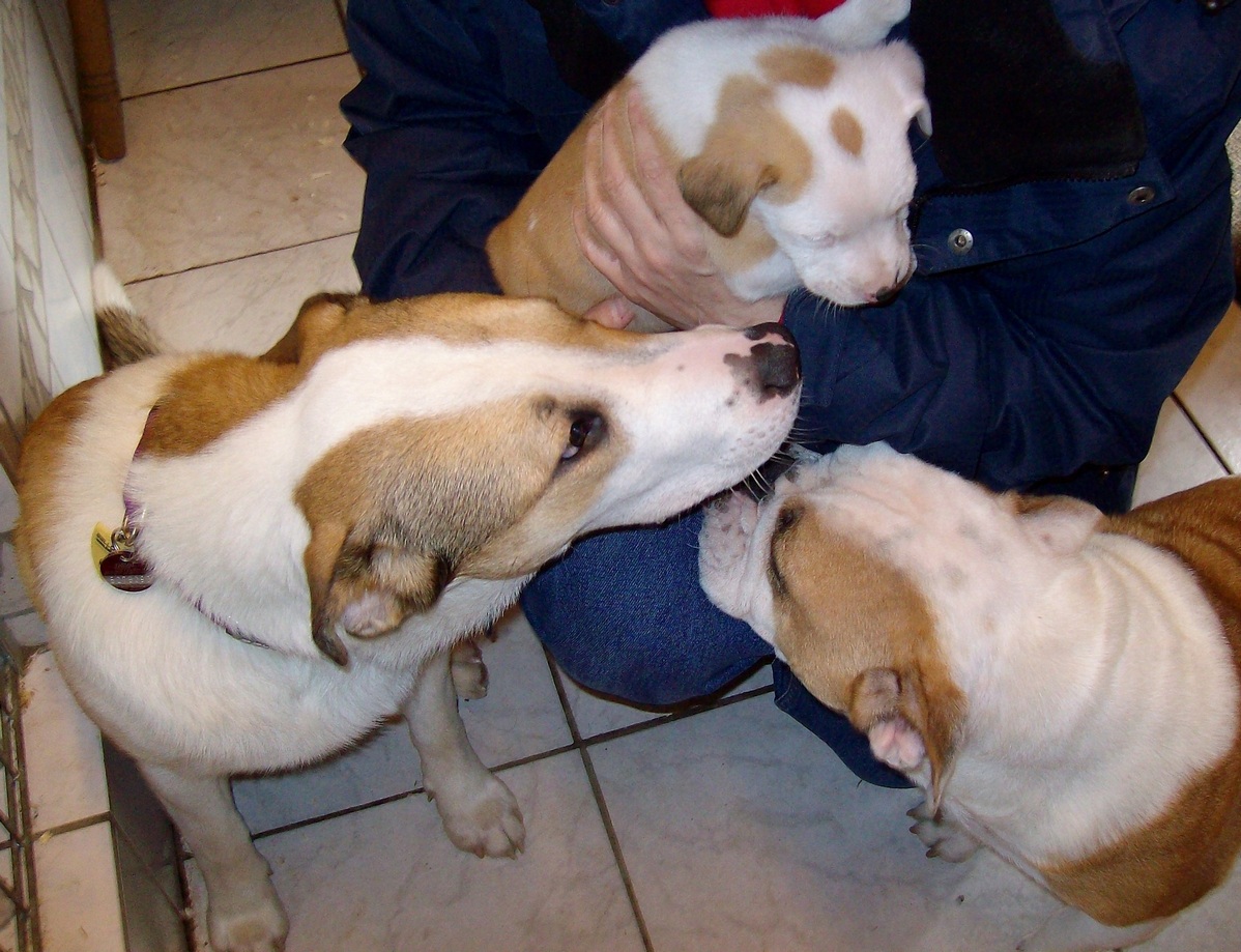 Thori meets his mom and his new brother Sumo