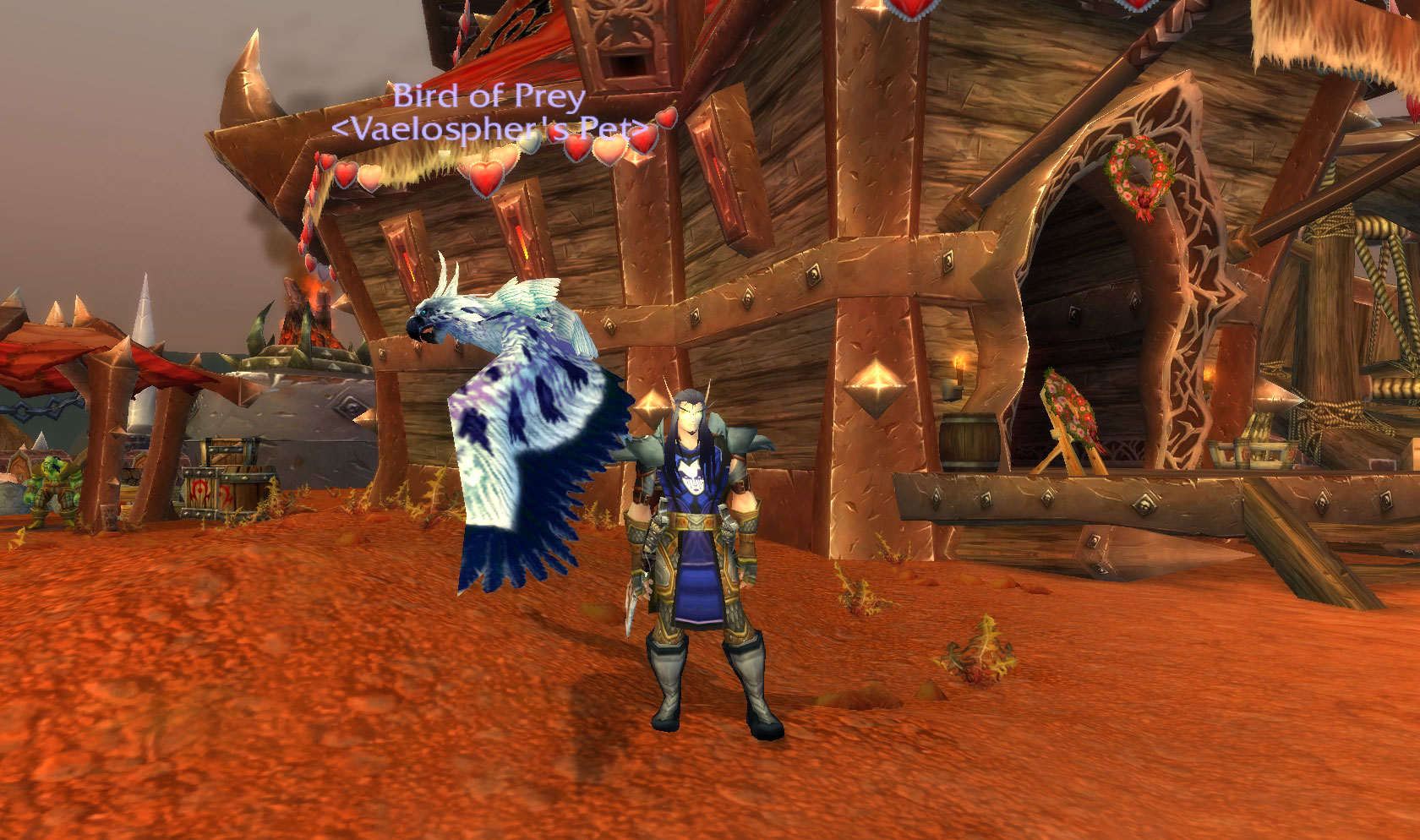 Vaelo's new friend.jpg