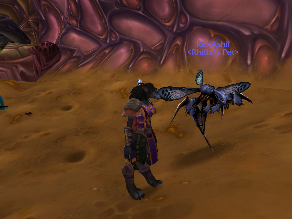 Rex Ashil tamed.jpg