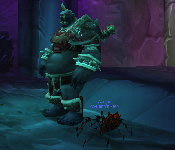 spider5.png