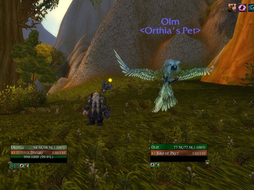 Olm.jpg