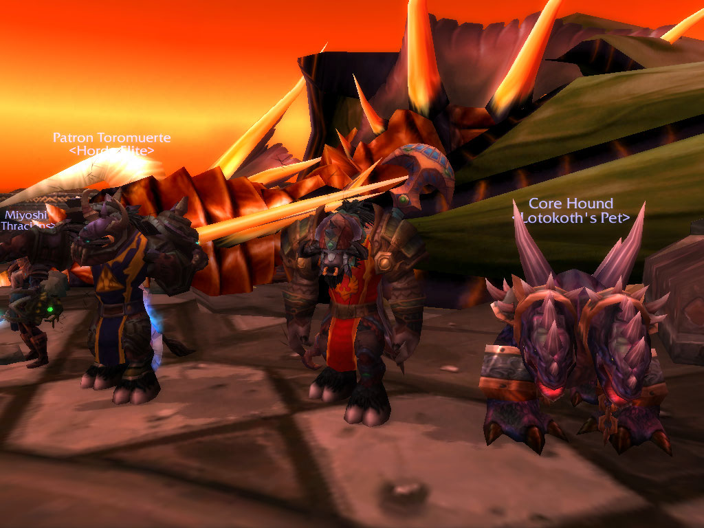This is me, Chromaguss and a raid member next to final boss