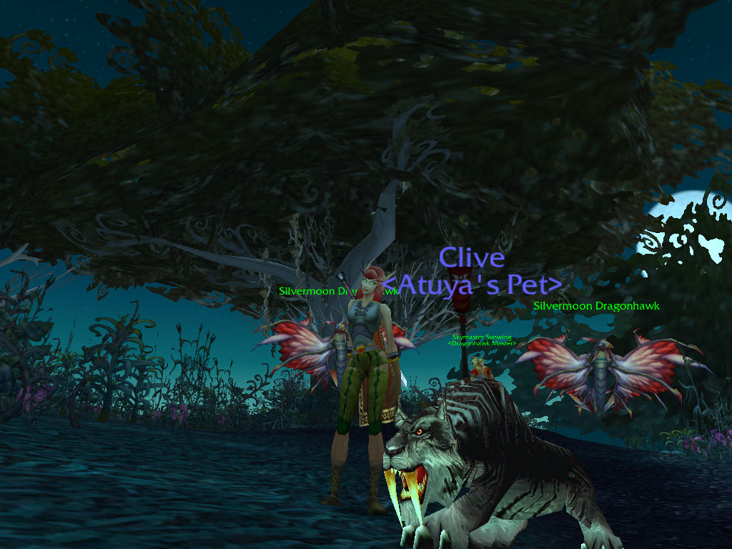 I'd forgotten to take a pic after I'd fed and named him, d'oh. Hence why we're in the Ghostlands.