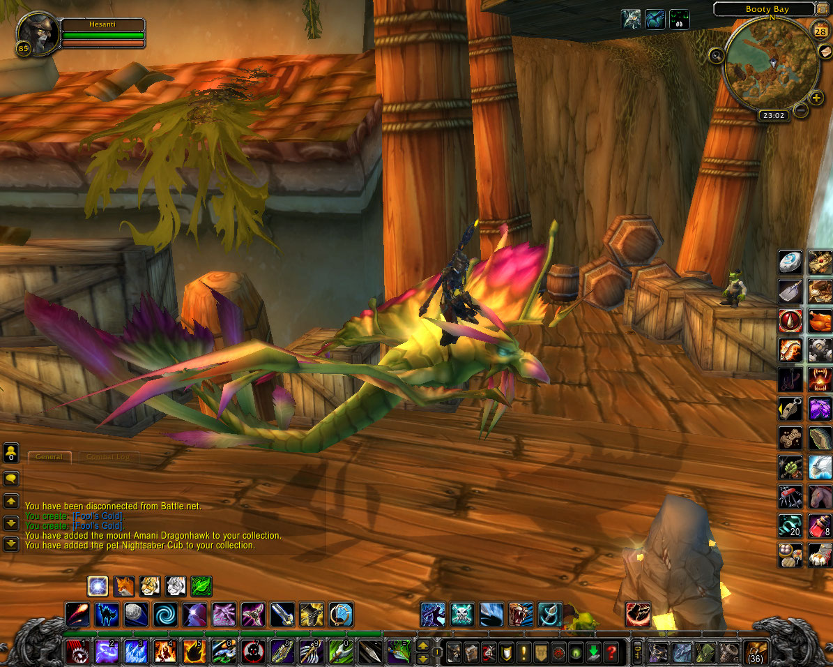 Amani dragonhawk.jpg