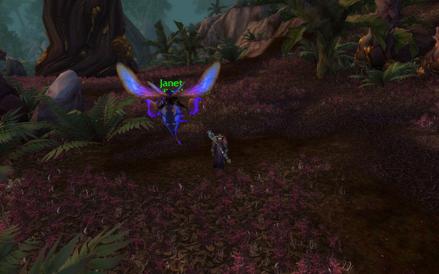 Her wings and Back pattern are beautiful.