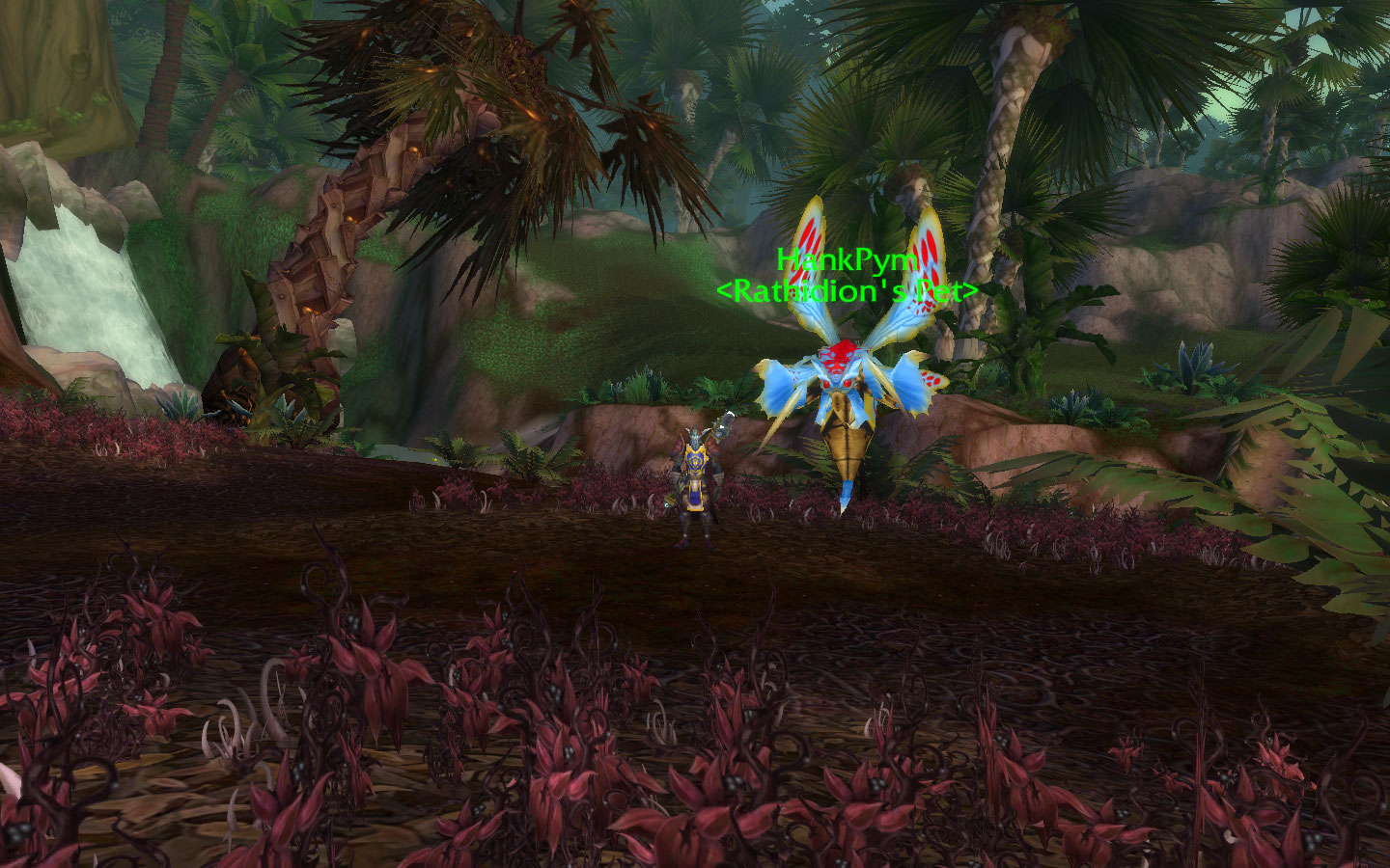 Sadly, Janet and I didn't click when compared to Hank, the boss-wasp I've had since the Cataclysm.